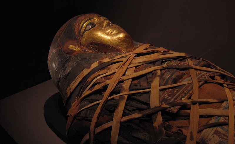 Egyptian Mummies To Be Displayed At The Toledo Museum of Art