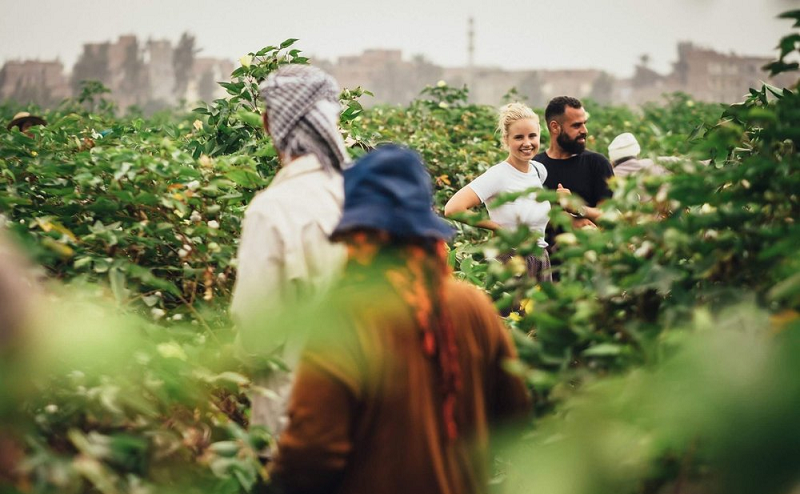 How This Egyptian-Canadian Brand is Reviving Egyptian Cotton