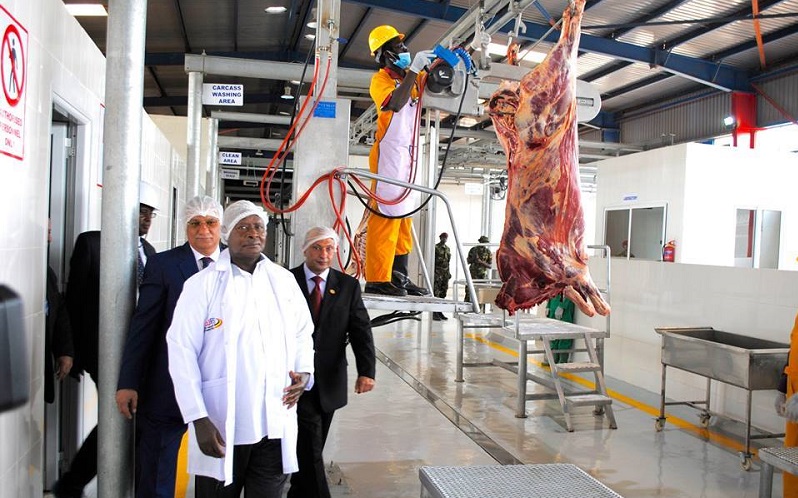 Egypt to Begin Importing Premium Beef from Uganda
