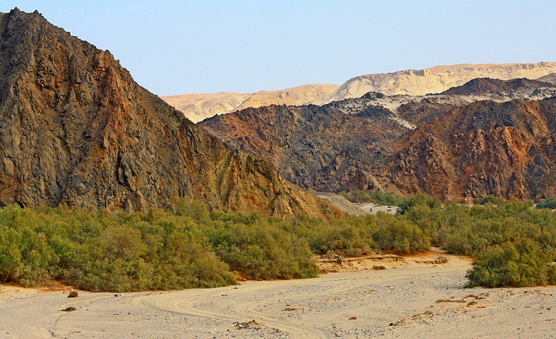 Egypt’s Ministry of Environment Launches Campaign to Clean Up Wadi El Gemal National Park
