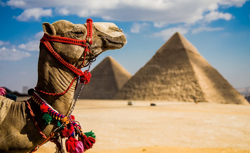 Egypt to Sign Agreement with CNN to Promote Tourism
