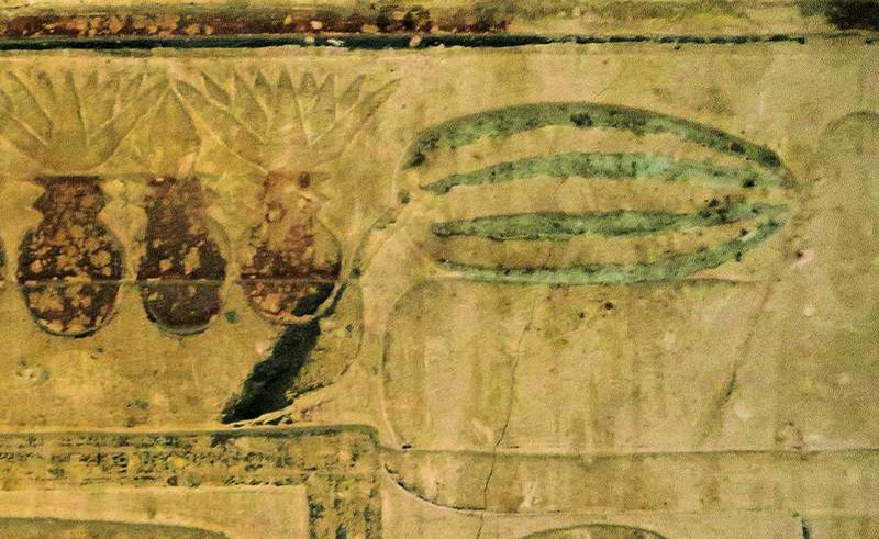 Were Ancient Egyptians the First to Domesticate Wild Watermelons? 