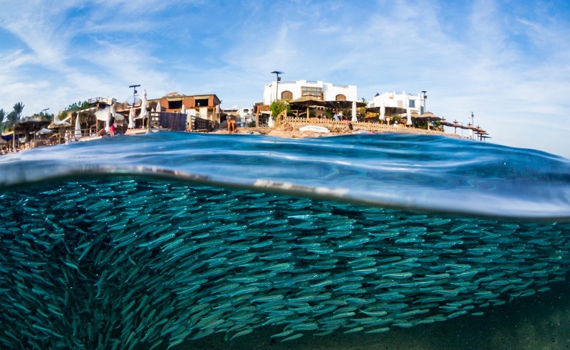 Dahab Tops National Geographic’s List of Best Beaches in the Middle East 2019