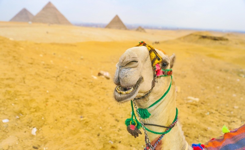 American Tourist Arrested For Attempting to Take 'Nude Selfie' at Pyramids of Giza