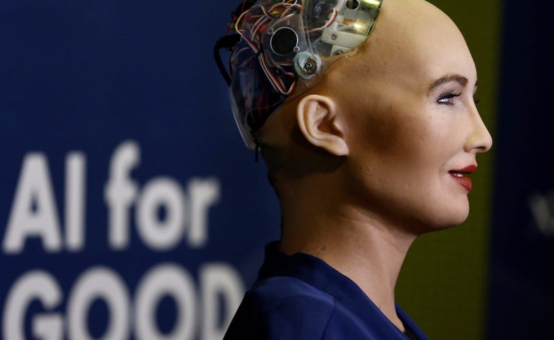 Life-like Sophia The Robot is coming to Sharm El Sheikh's World Youth Forum!