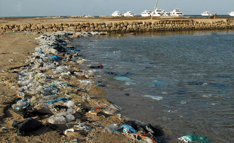 Ministry of Environment Removes 14 Tons of Waste from Red Sea Port