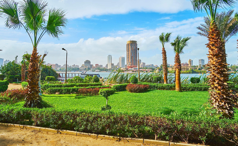 Egypt Joins ‘Platform for Redesign 2020’ to Tackle Climate Change and COVID-19