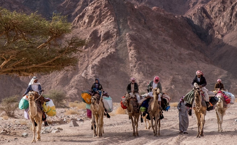 ‘Live Tribal’ With This Wild Guanabana Hike Along the Sinai Trail