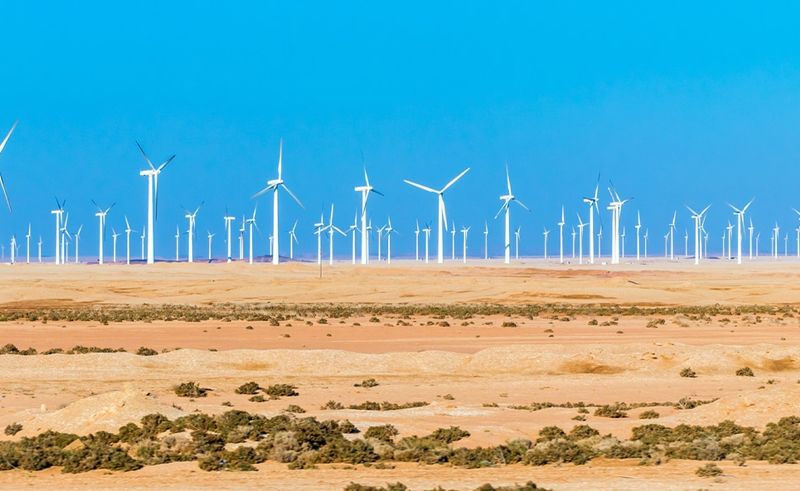 Huge 2000MW Wind Farm to Be Built in Red Sea Governorate