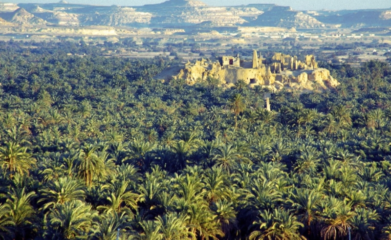 Egypt to Develop Siwa Oasis Natural Reserve