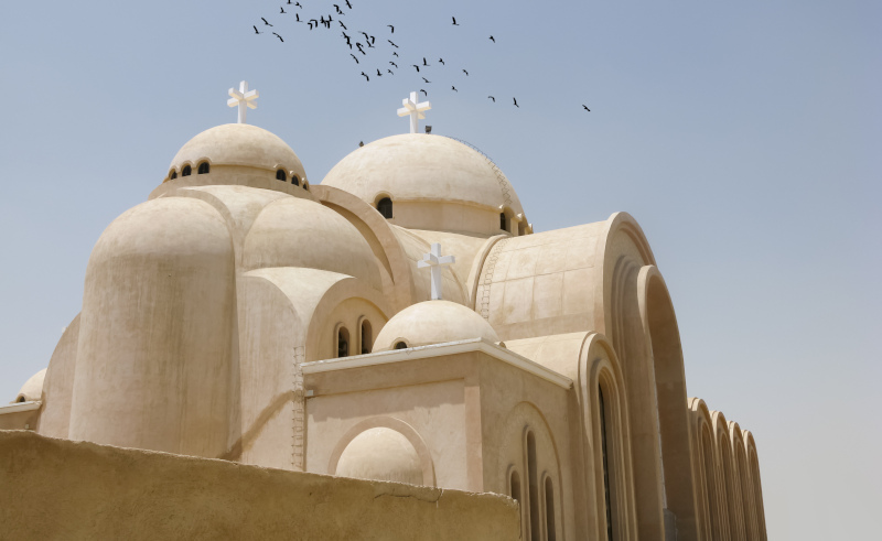 Pope Tawadros II Announces Coptic Christmas Mass Will Be Limited Due to Coronavirus
