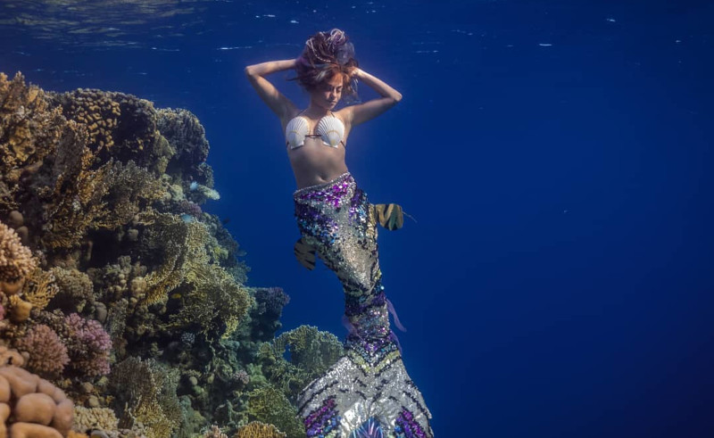 Swim with Dolphins (& Mermaids) on this Girls-Only Trip
