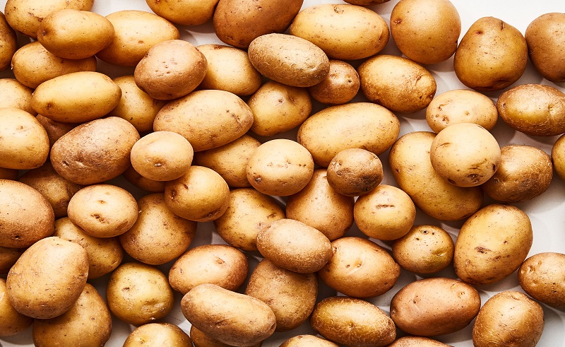 Egypt's Potato Exports Already Reach 90,000 Tons in 2021