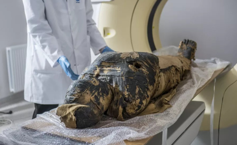 This is the World's Only Known Pregnant Egyptian Mummy
