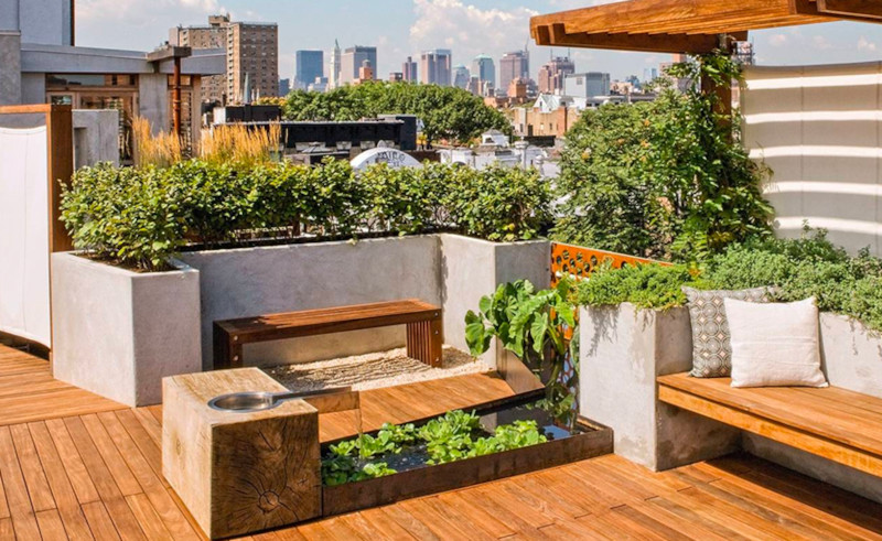 Get a Crash Course on Urban Gardening on August 27th