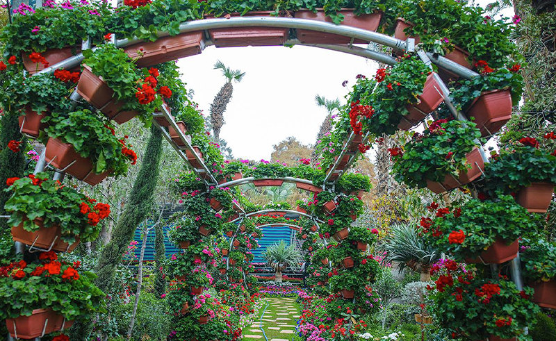 89th Spring Flowers Exhibition to Bloom in Giza's Orman Garden