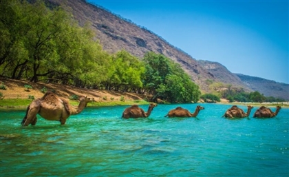 Hawana Salalah is an Omani Paradise on the Indian Ocean