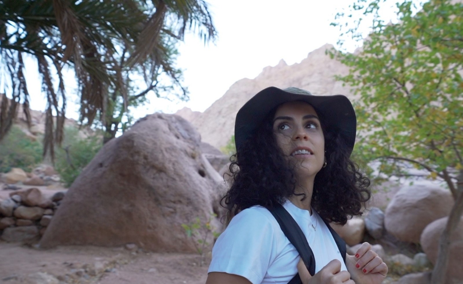 Scaling Sinai with Nelly Attar: An Eco Exploration of an Egyptian Gem