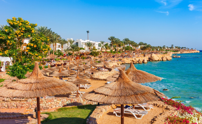 Over 16,000 Ukrainian Tourists Currently Staying in Red Sea Resorts