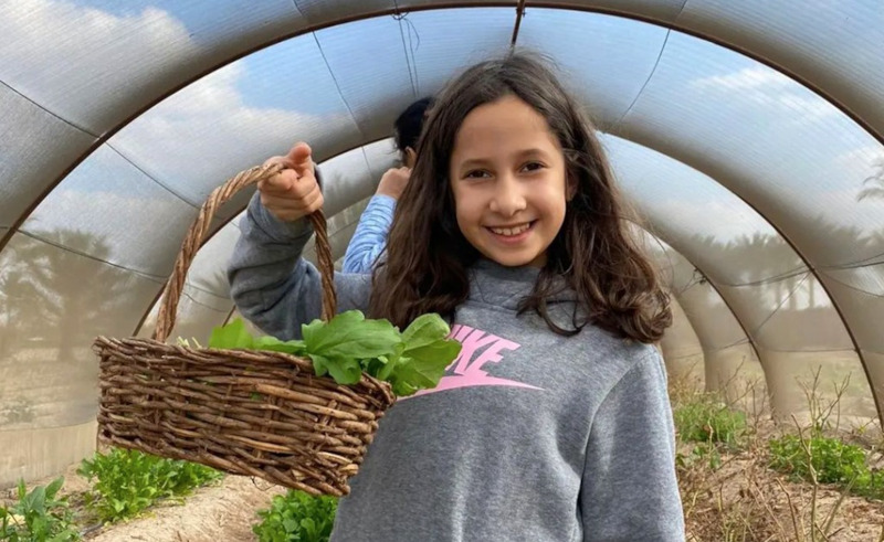 Live Like an Egyptian Organic Farmer at Wiiwii's Eco Camp