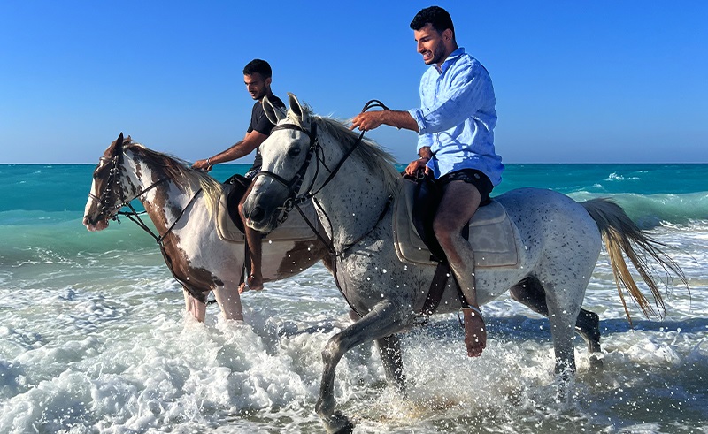 Live Out Your Equestrian Fantasies on North Coast at The Beach Stable'