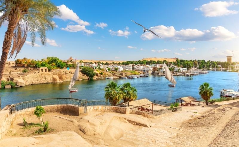 Aswan's Fares to Be Presented as Model of a Green Village at COP27