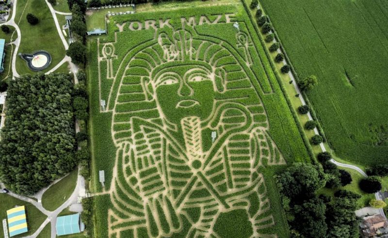 This British Farmer Made a Gigantic Maze of Tutankhamun’s Face