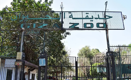 Giza Zoo’s Renovation Plan Explained