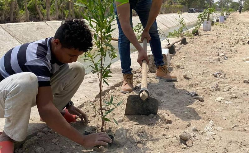 Volunteers Plant Trees & Paint Youth Centres Across Qalyubia
