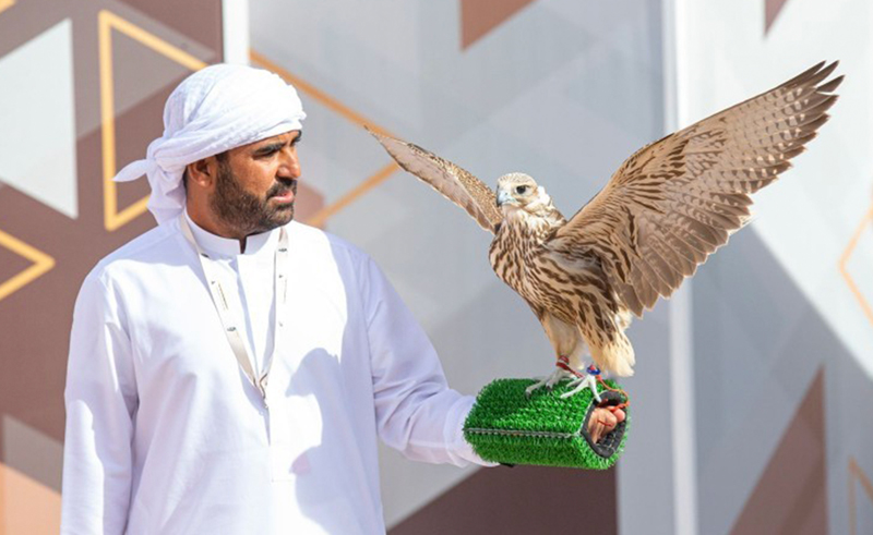 King Abdulaziz Falconry Festival Breaks Guinness World Record