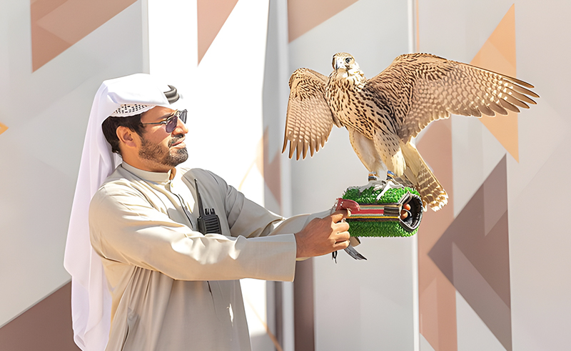 AlUla Falcon Cup Soars for the First Time With SAR 60 Million Awards