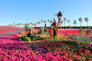 Riyadh’s Yanbu Flower Festival Begins February 15th