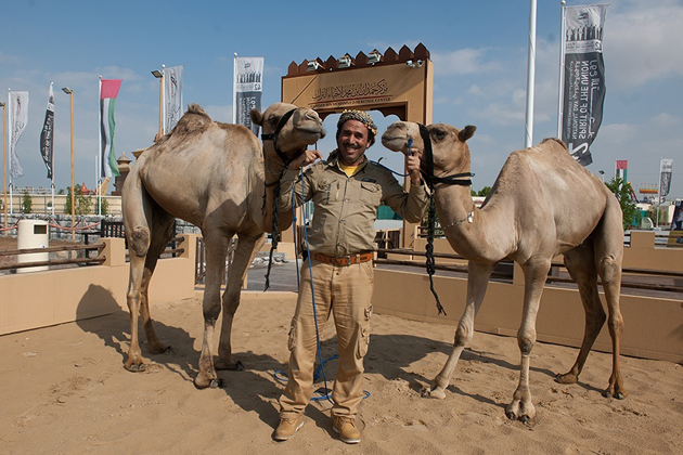 Travelling the World... on a Camel