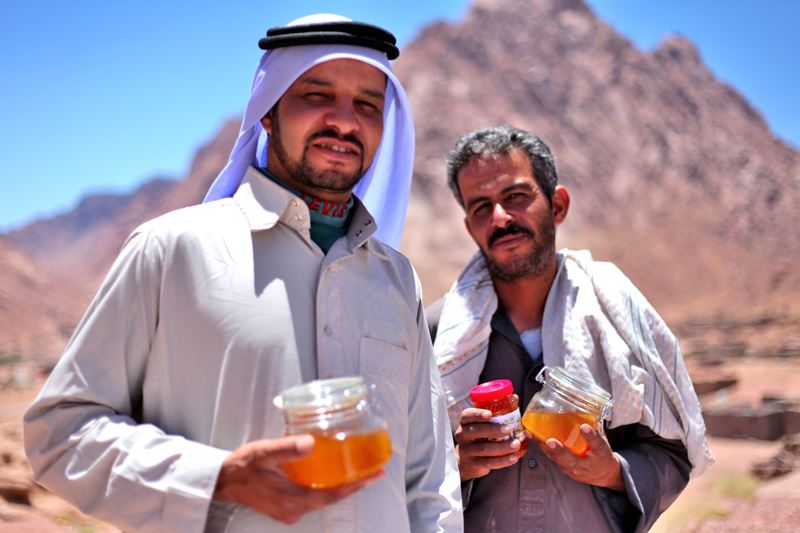 St. Katherine's Honey: Sinai's Sweet Spot
