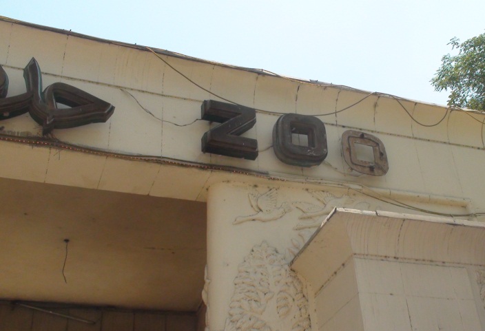 Giza Zoo: Park or Prison?