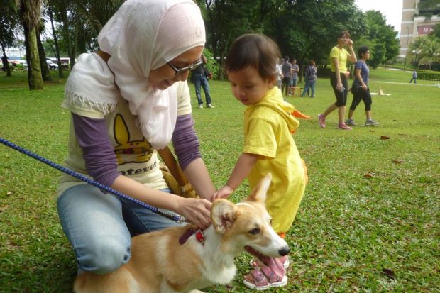 Muslim Organises Dog Petting Event, Death Threats Ensue