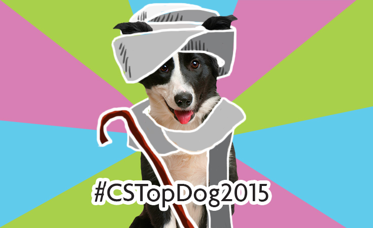 Is Your Dog This Year's #CSTopDog2015?