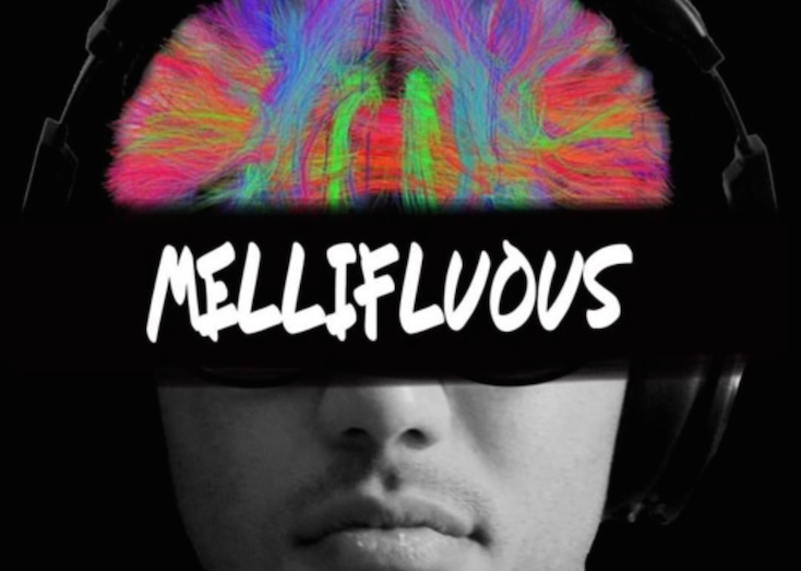 Mellifluous: Reviewing N/A Music Group's Latest Mixtape By Mandou
