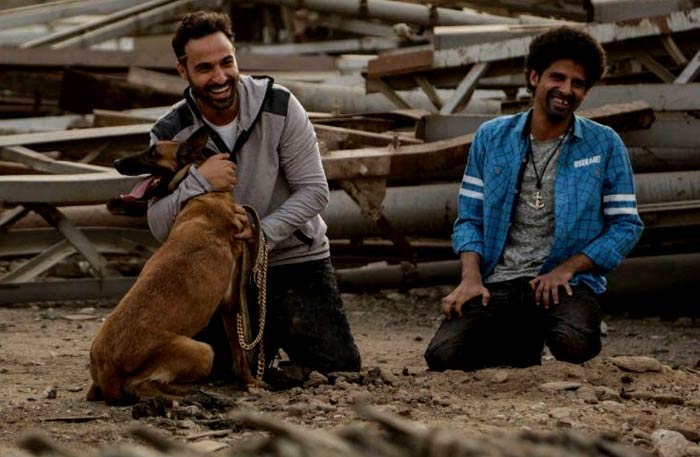 Junkyard Dog: Battling Stereotypes in 'Kalb Baladi' (2016)