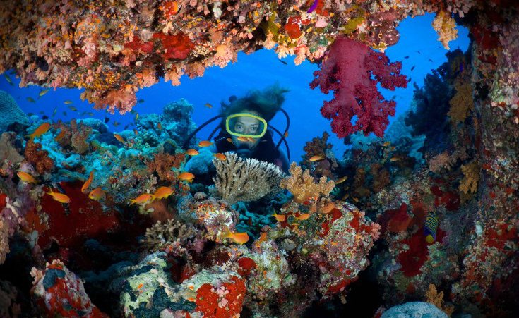 12 of the World's 100 Best Diving Sites Are in Egypt