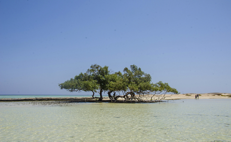 Marsa Alam Beach Was Just Ranked One of the Top 10 Beaches in the Middle East