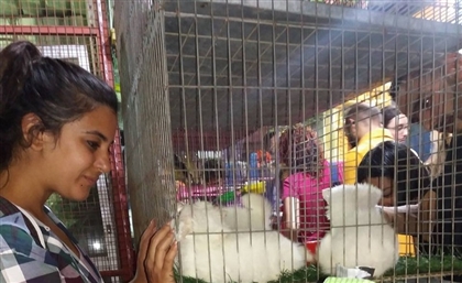 Pet Shop Raid: How a Group of Cairenes are Forcing an End to Animal Abuse at Pet Shops