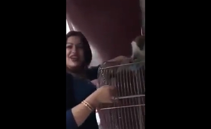 Graphic Video: Egyptian Woman Arrested for Sexually Abusing Monkey