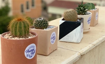 The Egyptian Plant Specialist Keeping the Memory of its Late Founder Alive One Cactus at a Time