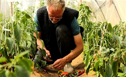 This Organic Farm and Eco-Lodge In Nuweiba is Leading the Way in Egyptian Agro-Tourism