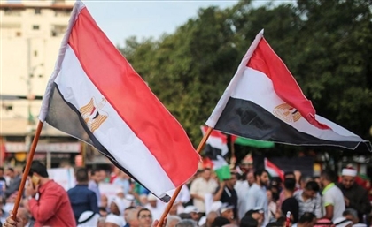'Egyptian Expats Conference' to be Held in Cairo This Summer