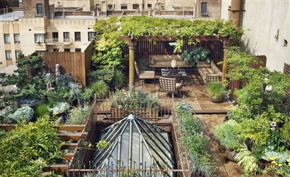 Rooftop Gardens to be Planted Across Cairo as Part of New Citywide Initiative
