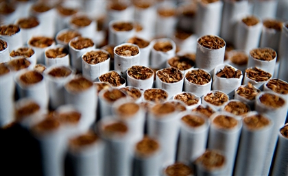 Middle East's First Observatory for Tobacco Control to Be Established in Egypt