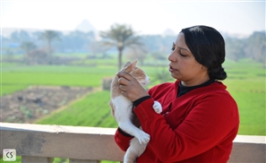 Mervat Said: The Egyptian Woman Who Became the Guardian Angel of Cairo's Stray Animals