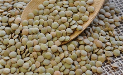 Over EGP 1 Billion Worth of Lentils Imported into Egypt in 2021